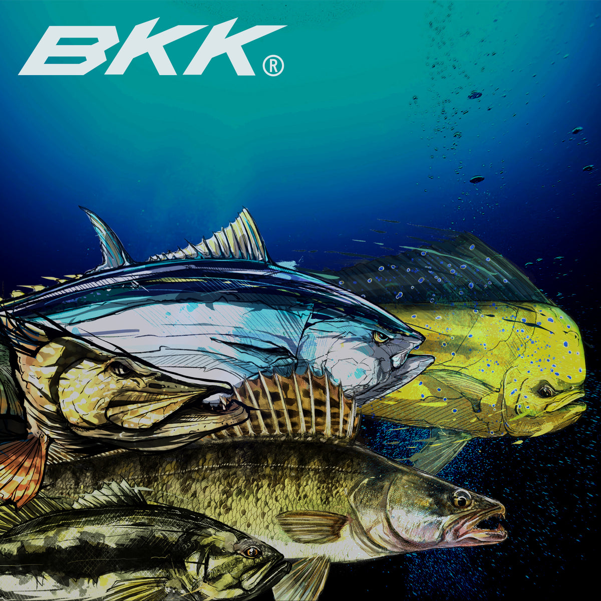 スプリットリング51 BKK SPRIT RING 51 – AMBERJACK : Offshore