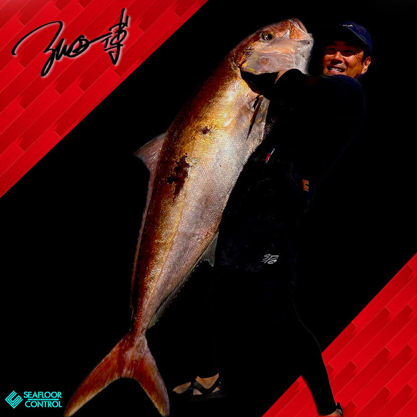 KKKファクトラ　FX-4 FISH 小波　FCS2美品　手渡しのみ Fins - FCS JAPAN