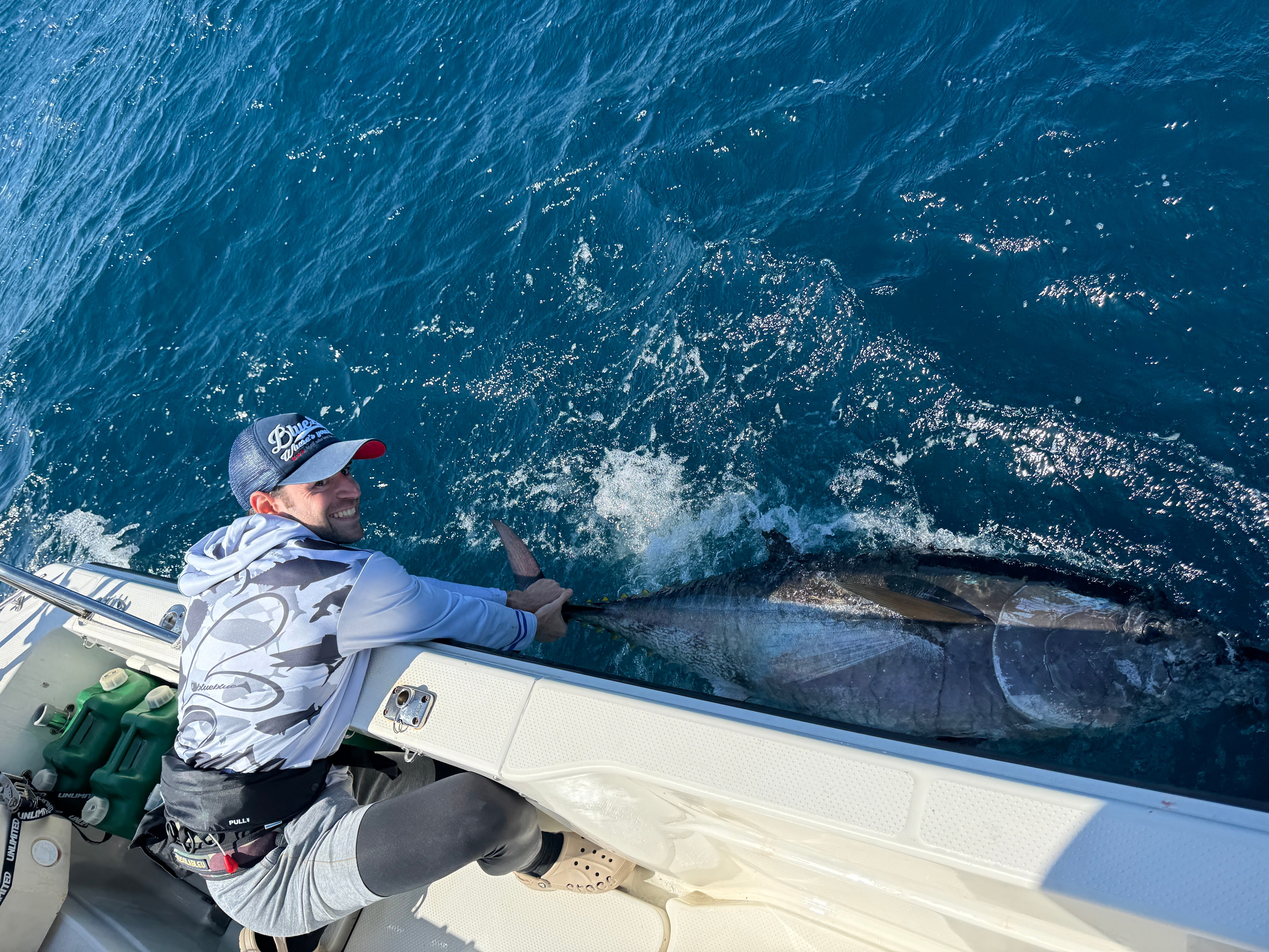 bluefin tuna