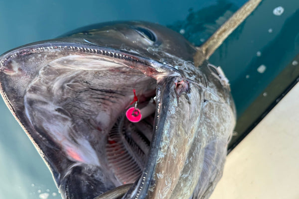CATCH AND RELEASE