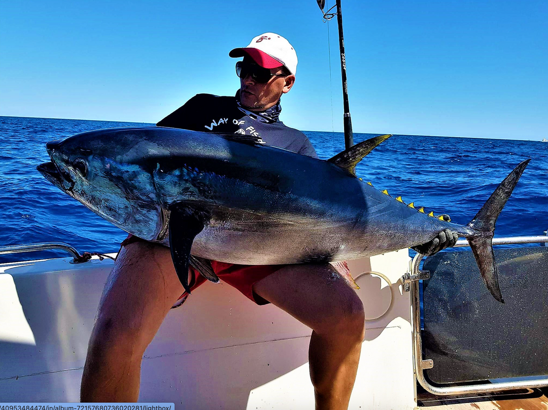 予約終了 ZENAQ TOBIZO CASTING ROD for TUNA & GT