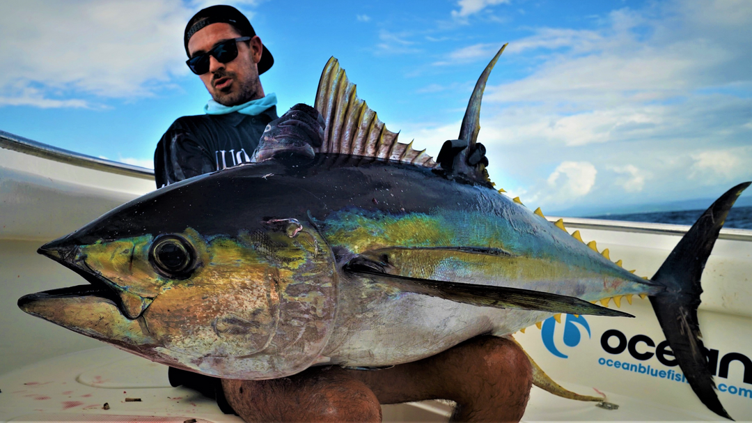 予約終了 ZENAQ TOBIZO CASTING ROD for TUNA & GT