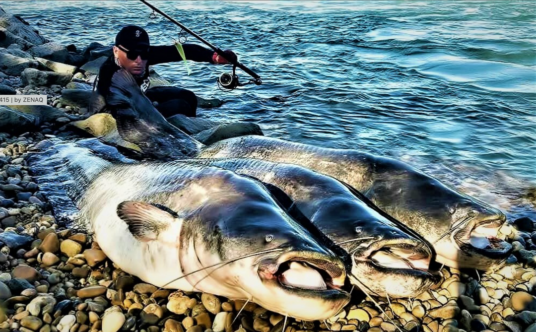 予約終了 ZENAQ TOBIZO CASTING ROD for TUNA & GT