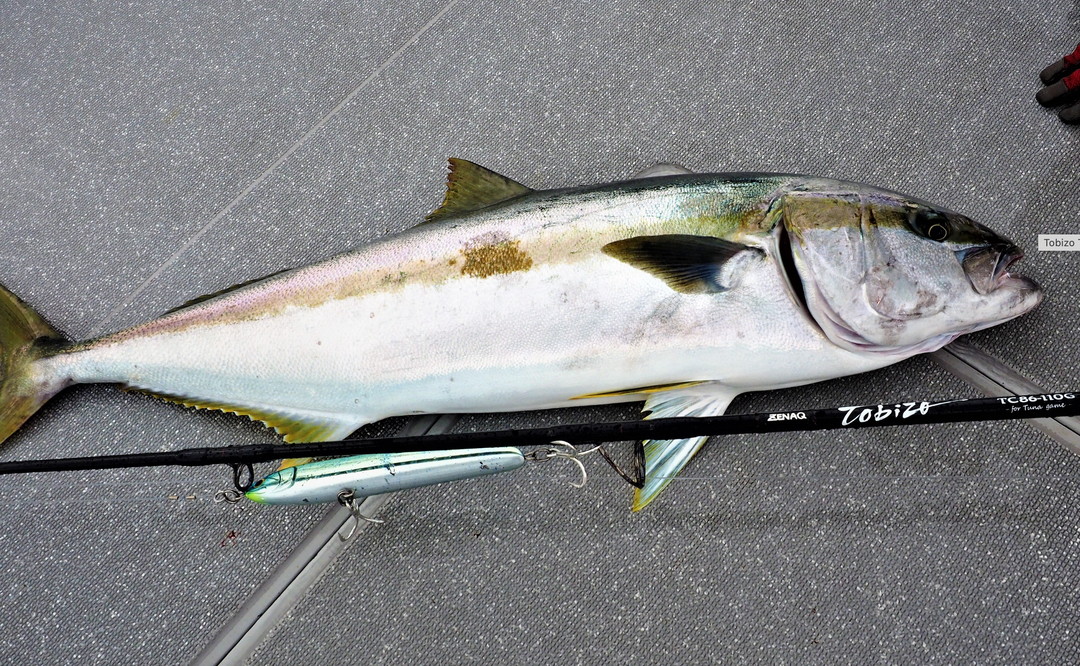 予約終了 ZENAQ TOBIZO CASTING ROD for TUNA & GT