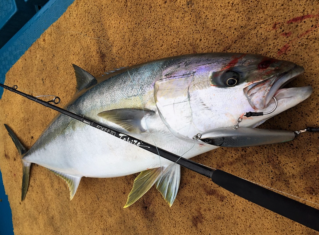 予約終了 ZENAQ TOBIZO CASTING ROD for TUNA & GT
