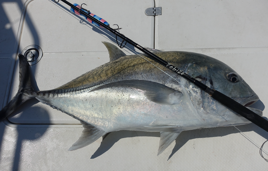 予約終了 ZENAQ TOBIZO CASTING ROD for TUNA & GT