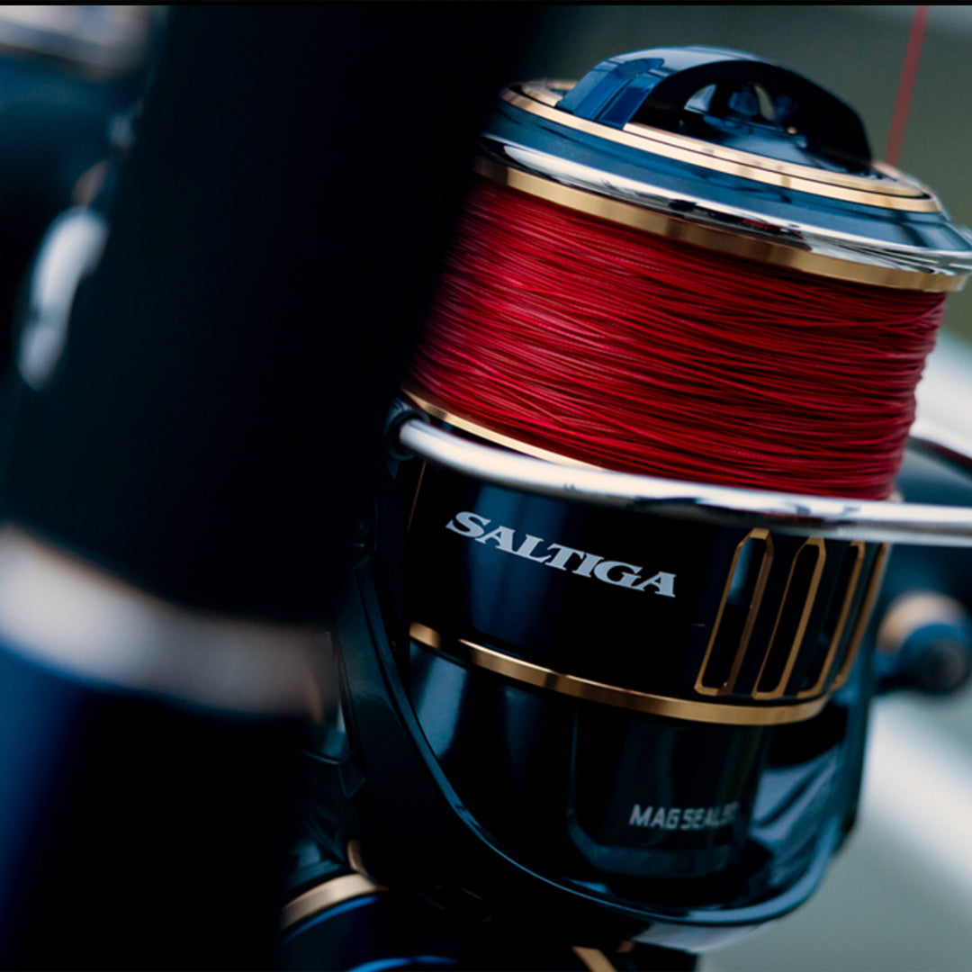 DAIWA 25 SALTIGA 25000P SPOOL