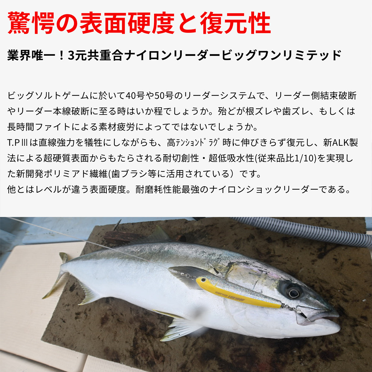 キャストマンアブソーバーTP3 ナイロンリーダー 30m エックスブレイド