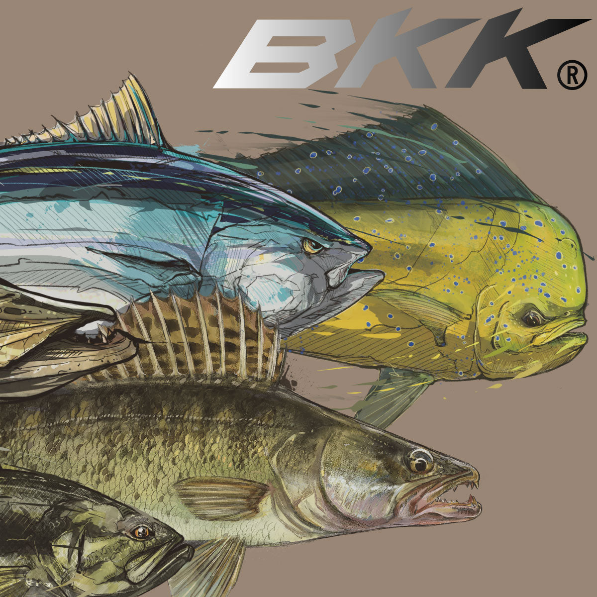 BKK – AMBERJACK : Offshore Fishing Select Shop