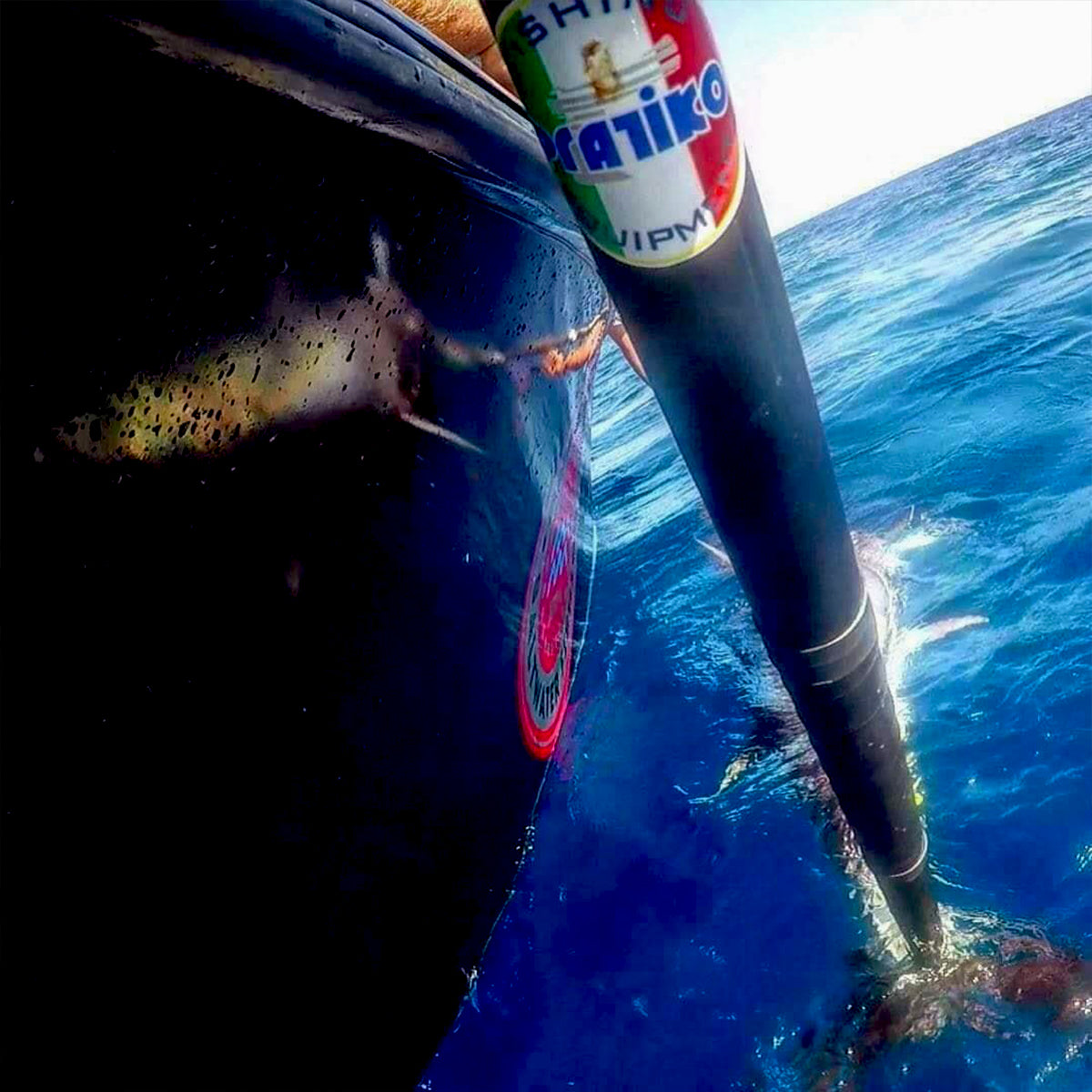 即納品】プラティコ マグロリリーサー フィッシュグリップ イタリア製